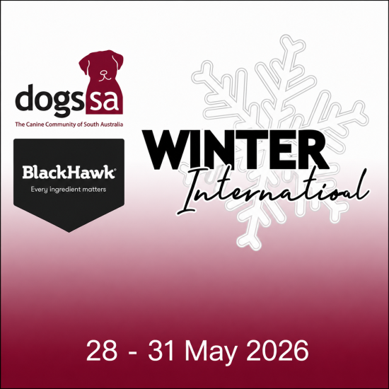 2026 DOGS SA WINTER INTERNATIONALS